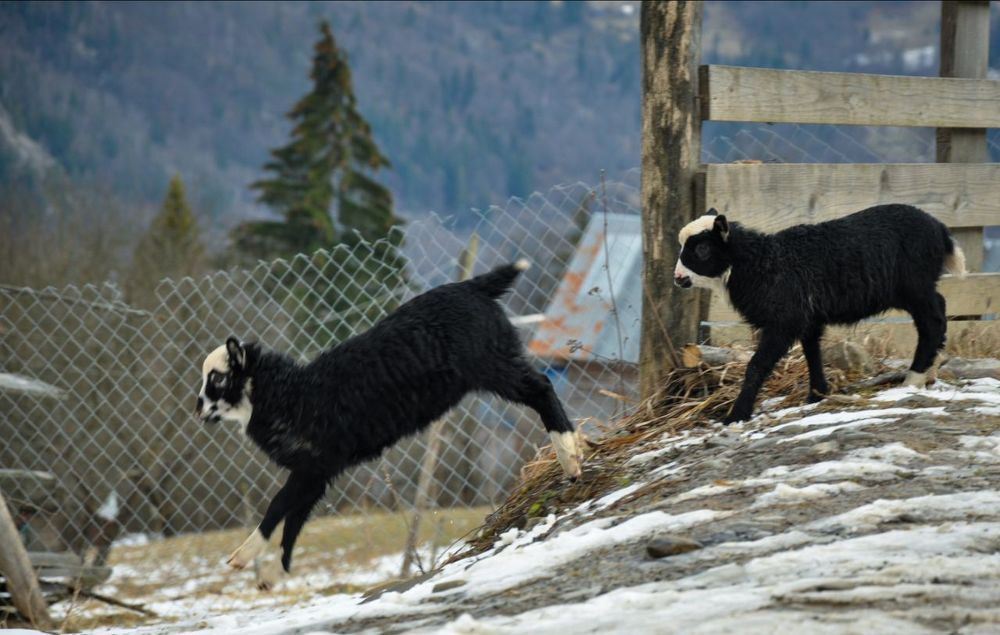 Photograph by Ольга Кудина