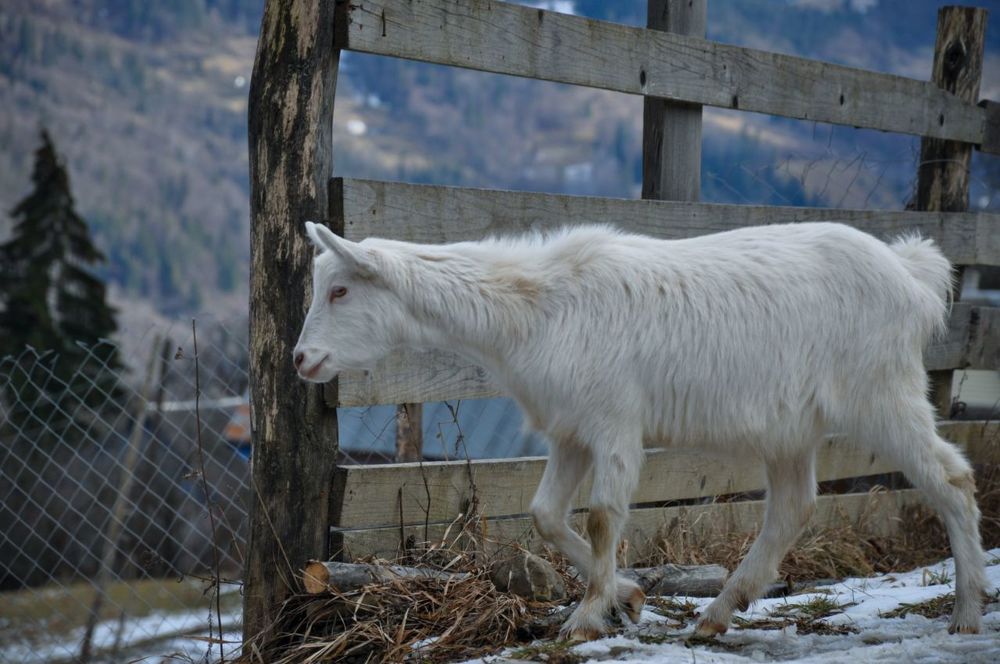 Photograph by Ольга Кудина