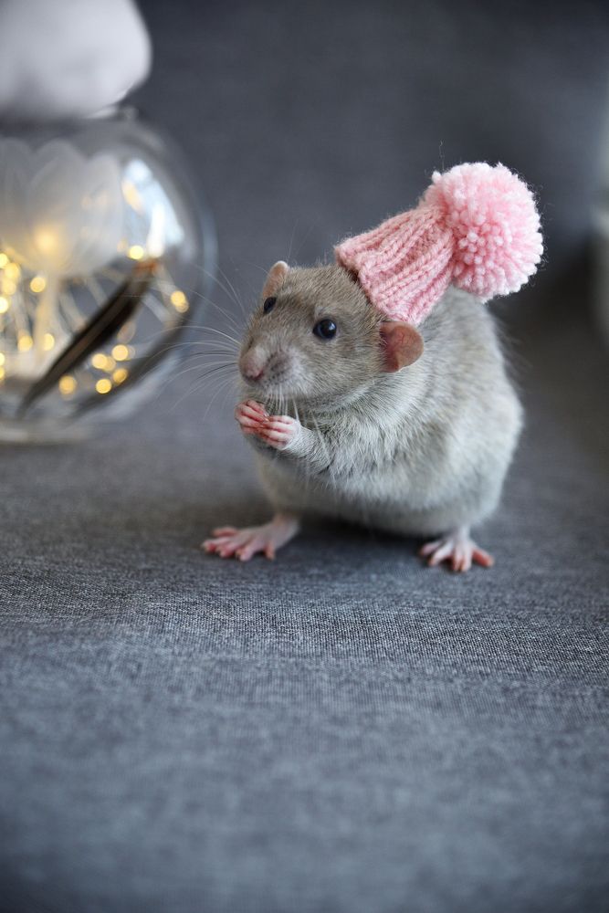 Photograph by Оксана Астрова