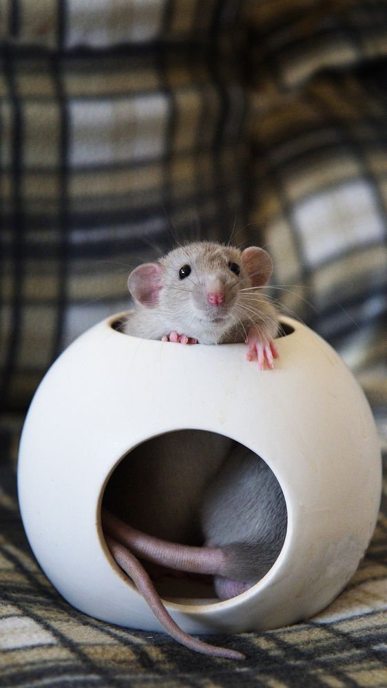 Photograph by Оксана Астрова