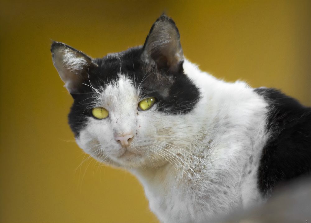 Photograph by ABDALLA Obada Abdelwahab