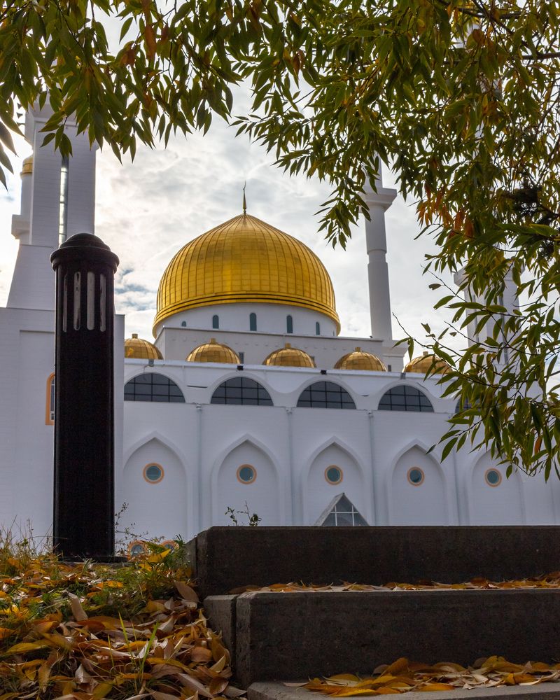 Photograph by Юрий Коваль