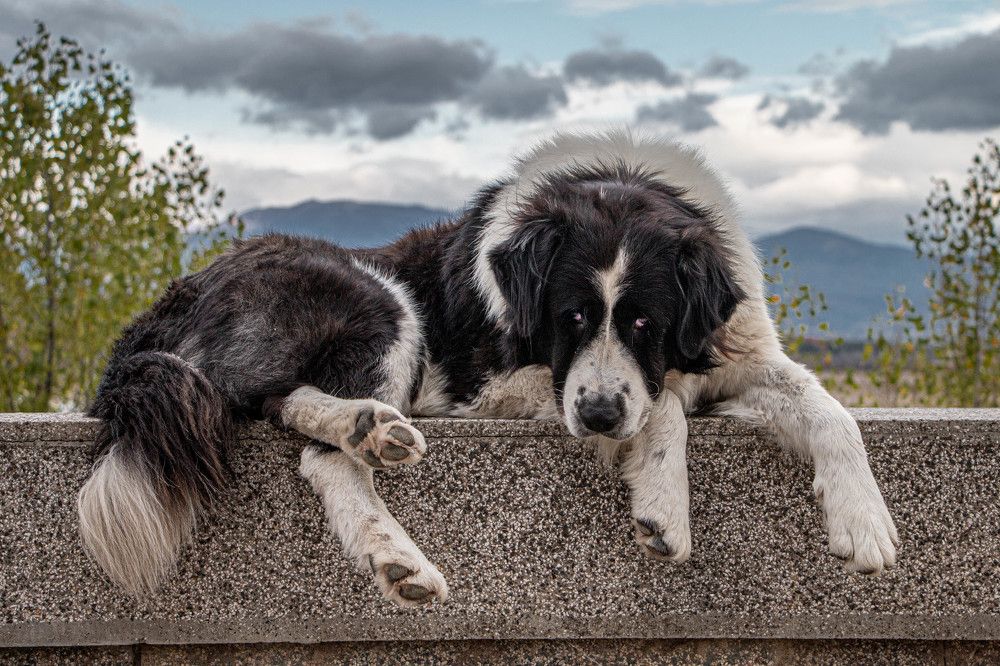 Photograph by Таймураз Гумеров