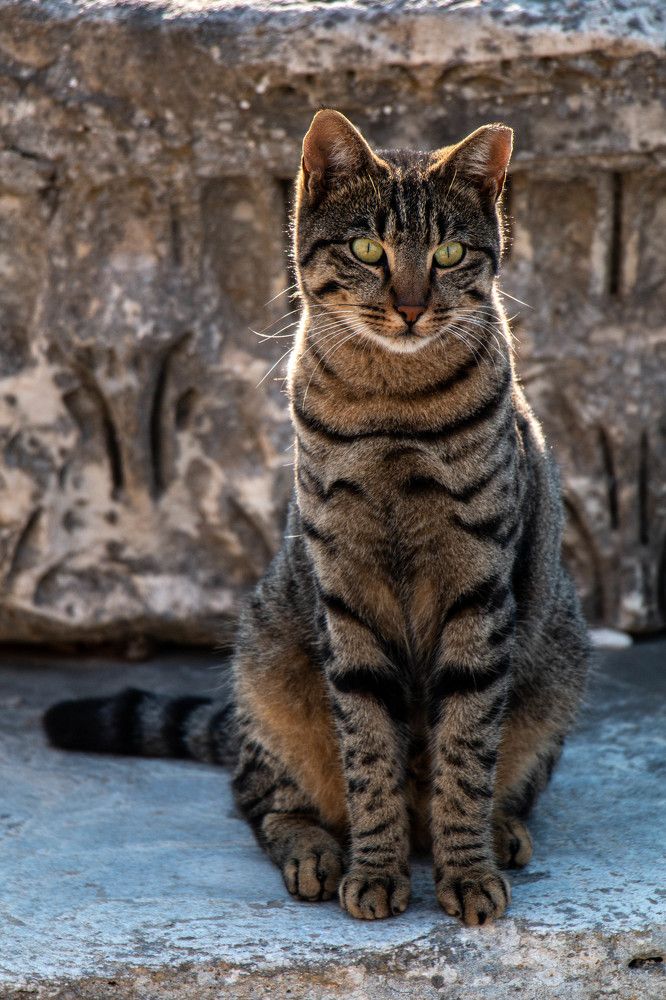 Photograph by Таймураз Гумеров