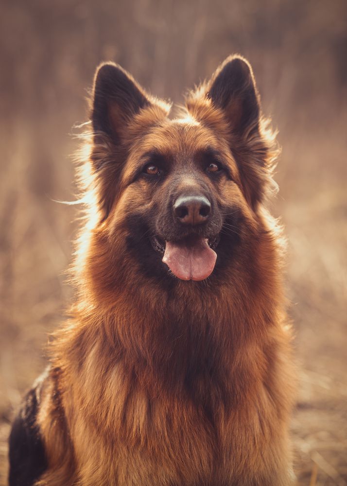 Photograph by Владислава Протащик