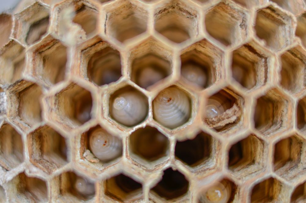 Photograph by Сергей Глухарев