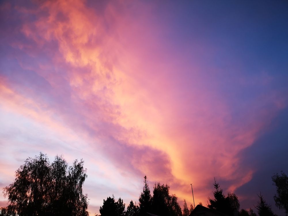 Photograph by Tatiana Troitskaya