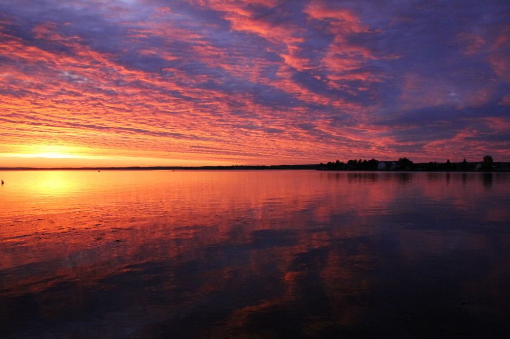 Photograph by Любовь Козлова