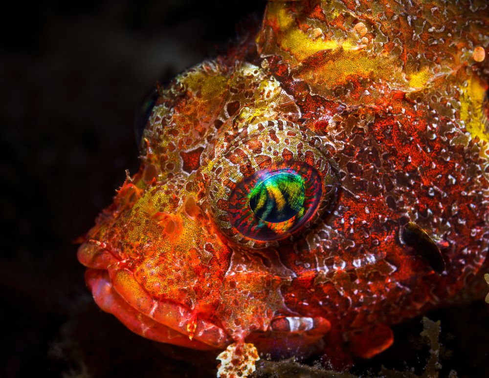 Photograph by Андрей Савин