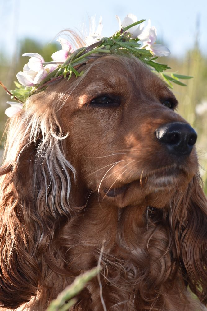 Photograph by Людмила Воропаева