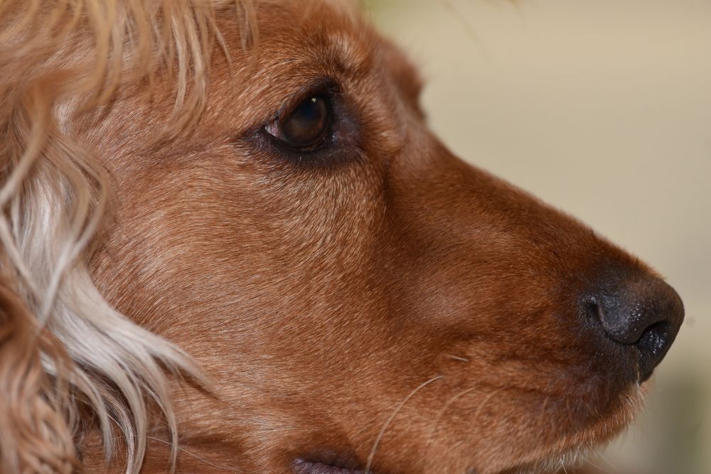 Photograph by Людмила Воропаева