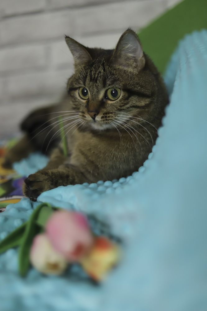 Photograph by Светлана Семакина