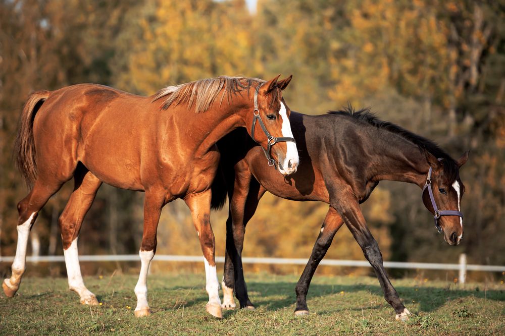 Photograph by Анастасия Третьякова