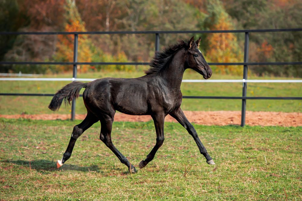 Photograph by Анастасия Третьякова