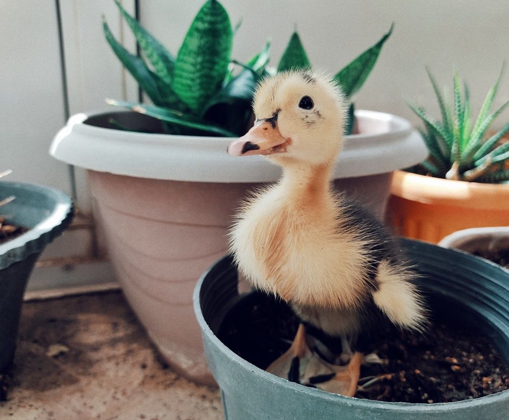 Photograph by Masoumeh Mahmoudi