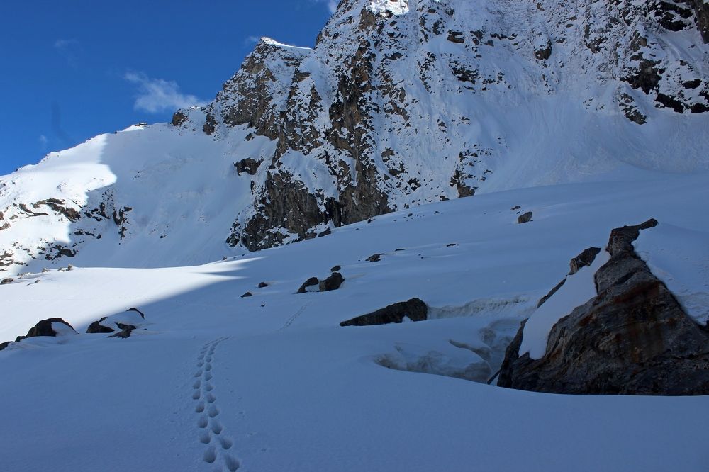 Photograph by Сергей Смоленцев