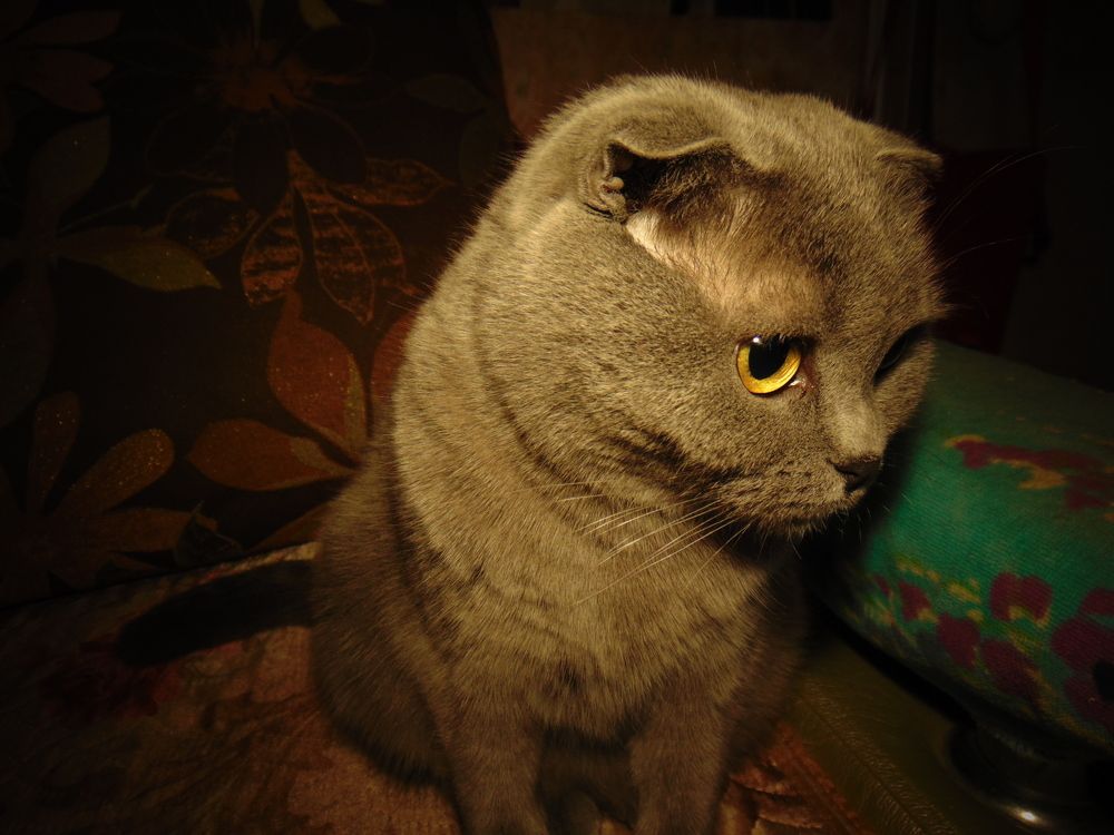 Photograph by Ольга Шевцова