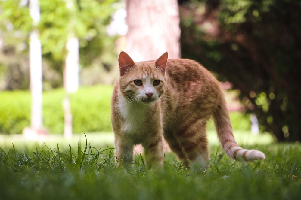 Photograph by Masoumeh Mahmoudi