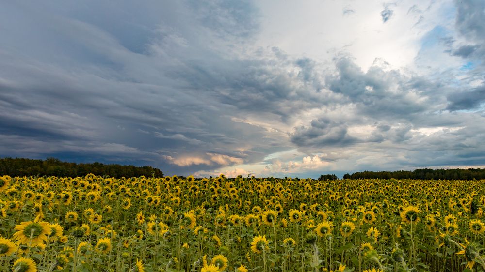 Photograph by Андрей Панов