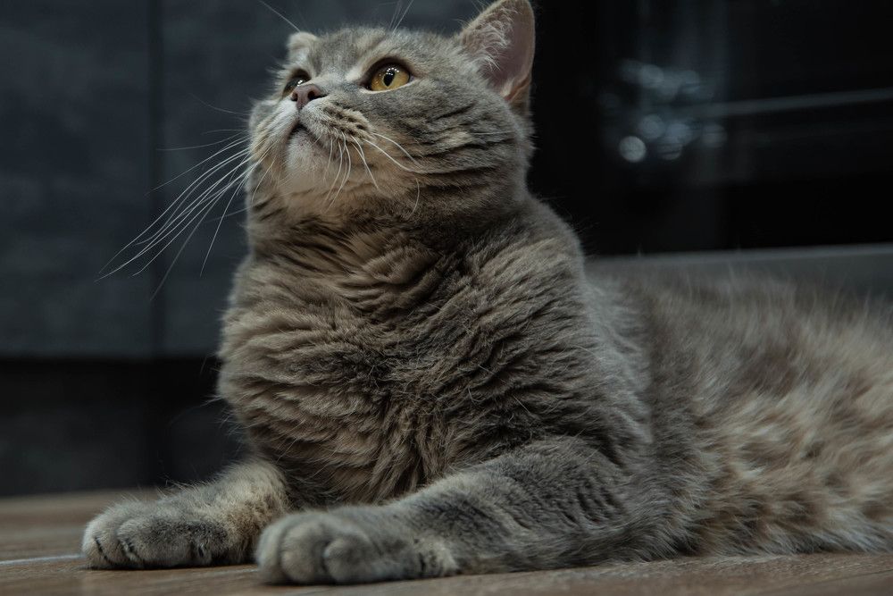 Photograph by Елена Прохорова