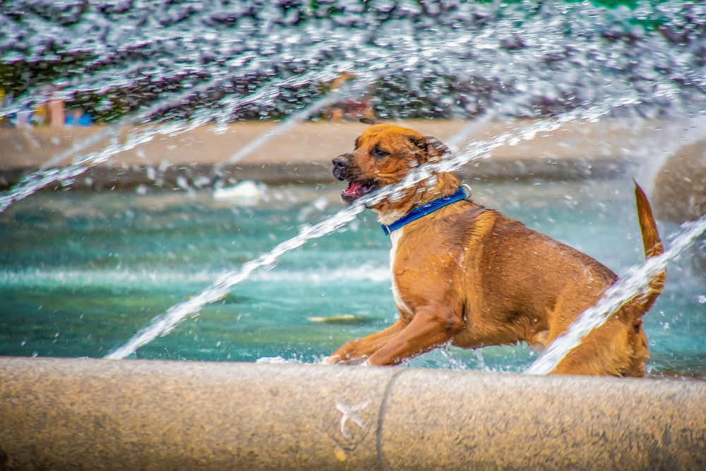 Photograph by Сергей Нагель-Синегубов