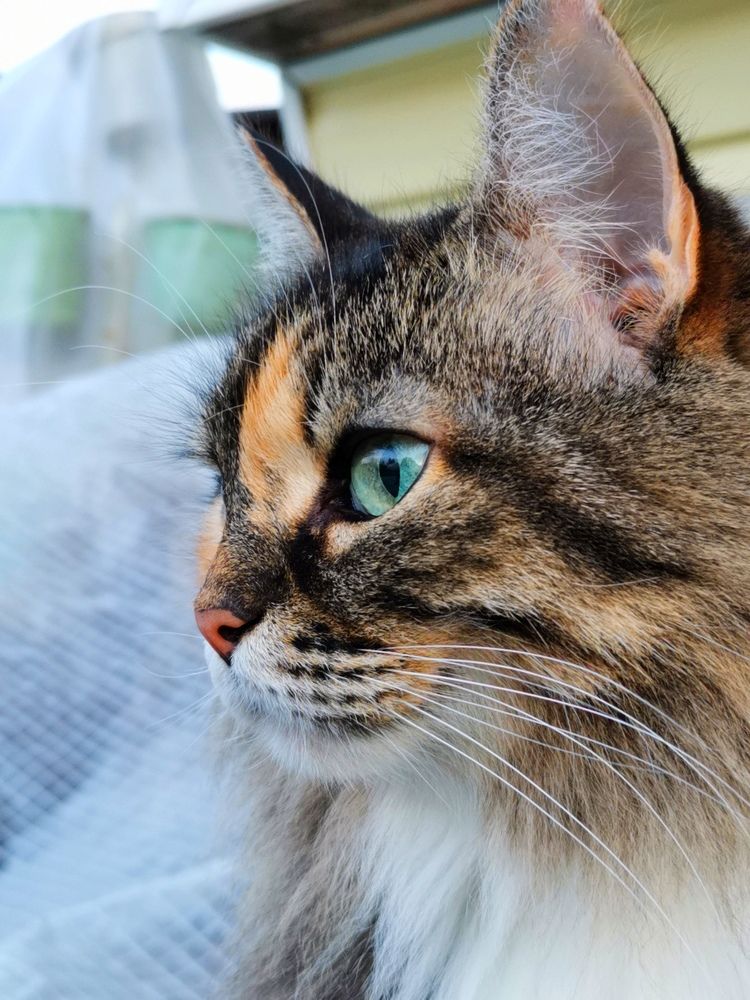 Photograph by Елена Артёменко