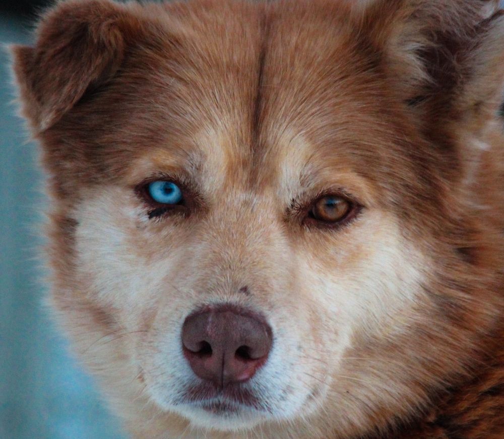 Photograph by Елена Верховская