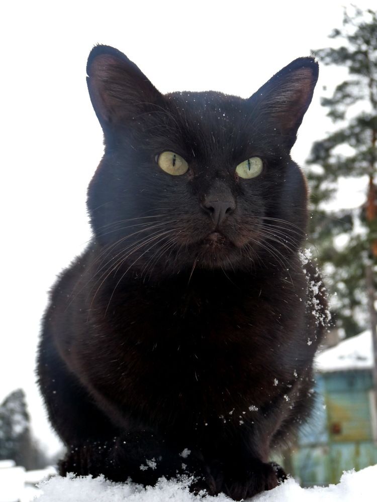 Photograph by Марина