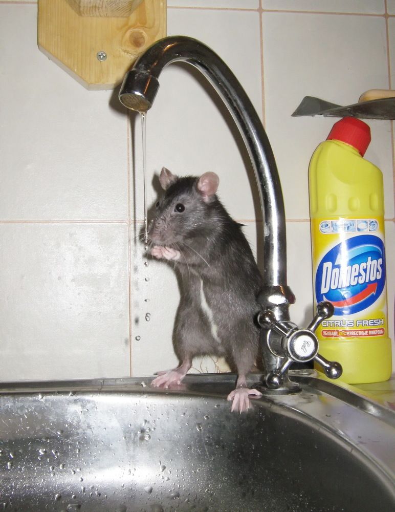 Photograph by Марина