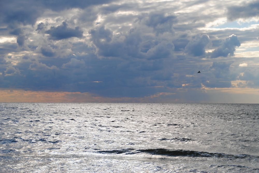 Photograph by Инна Сечко