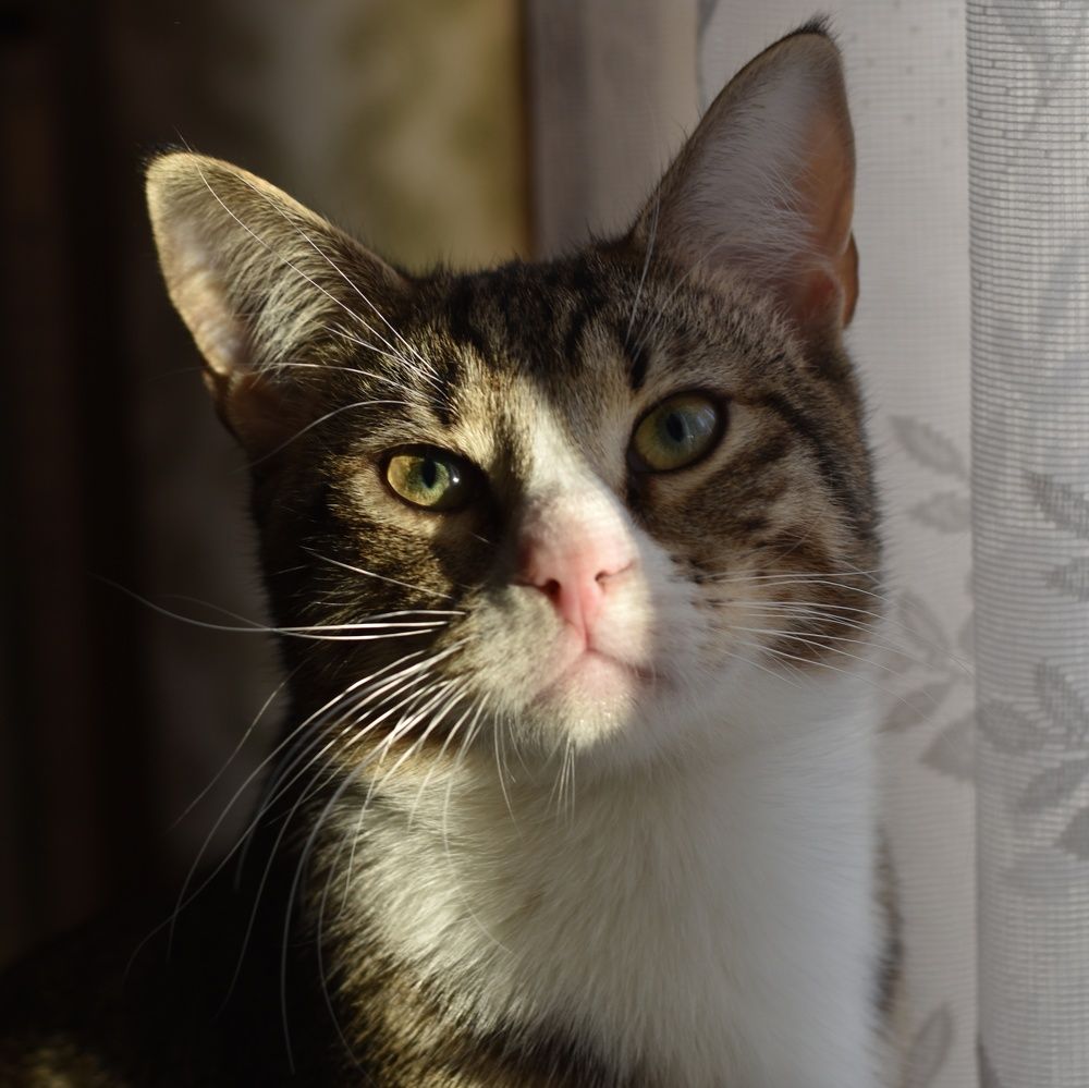 Photograph by Татьяна Юдина