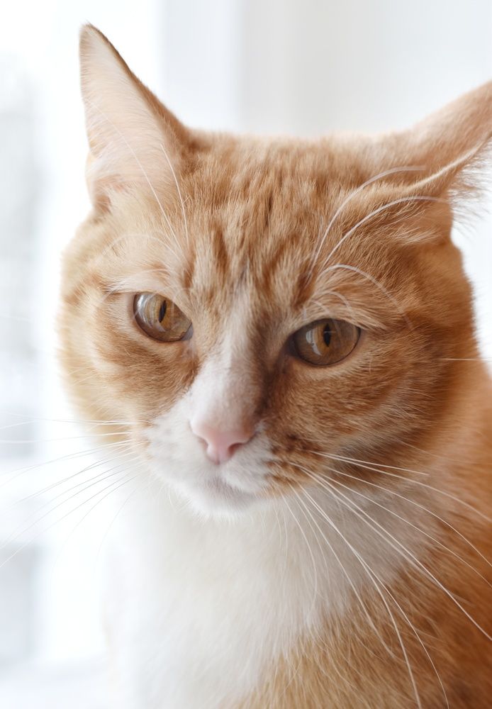 Photograph by Татьяна Юдина