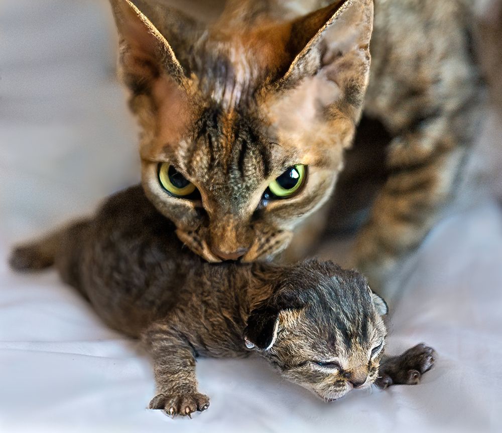 Photograph by Valentina Acrement