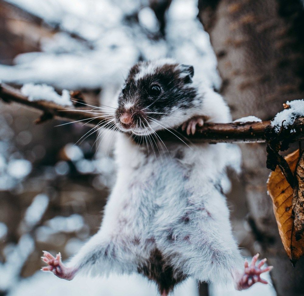 Photograph by David Adilkhanyan