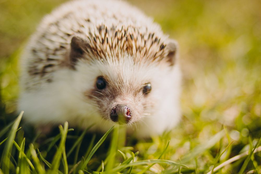 Photograph by Евгения Юдина