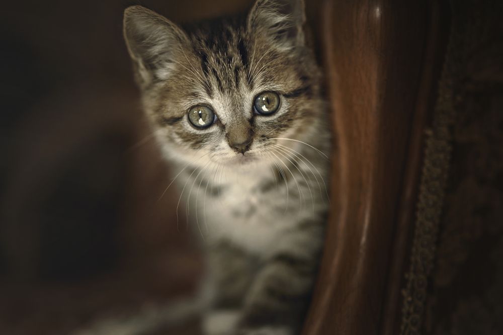 Photograph by Дарья Базарнова