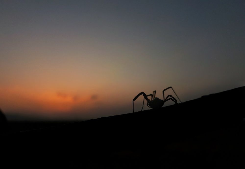 Photograph by Khosro Sayadi