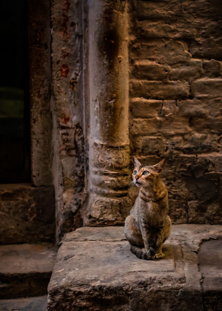 Photograph by DHIRAJ GOSWAMI