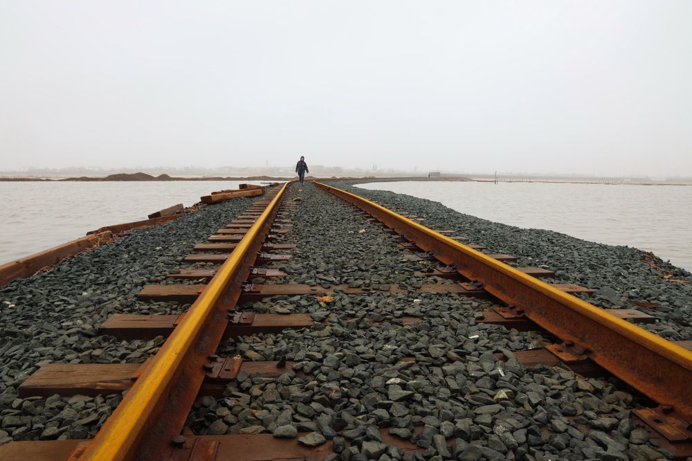 Фотография автора Елена Колосова