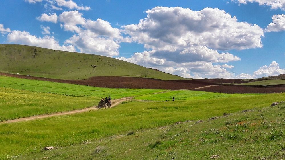 Photograph by Khosro Sayadi