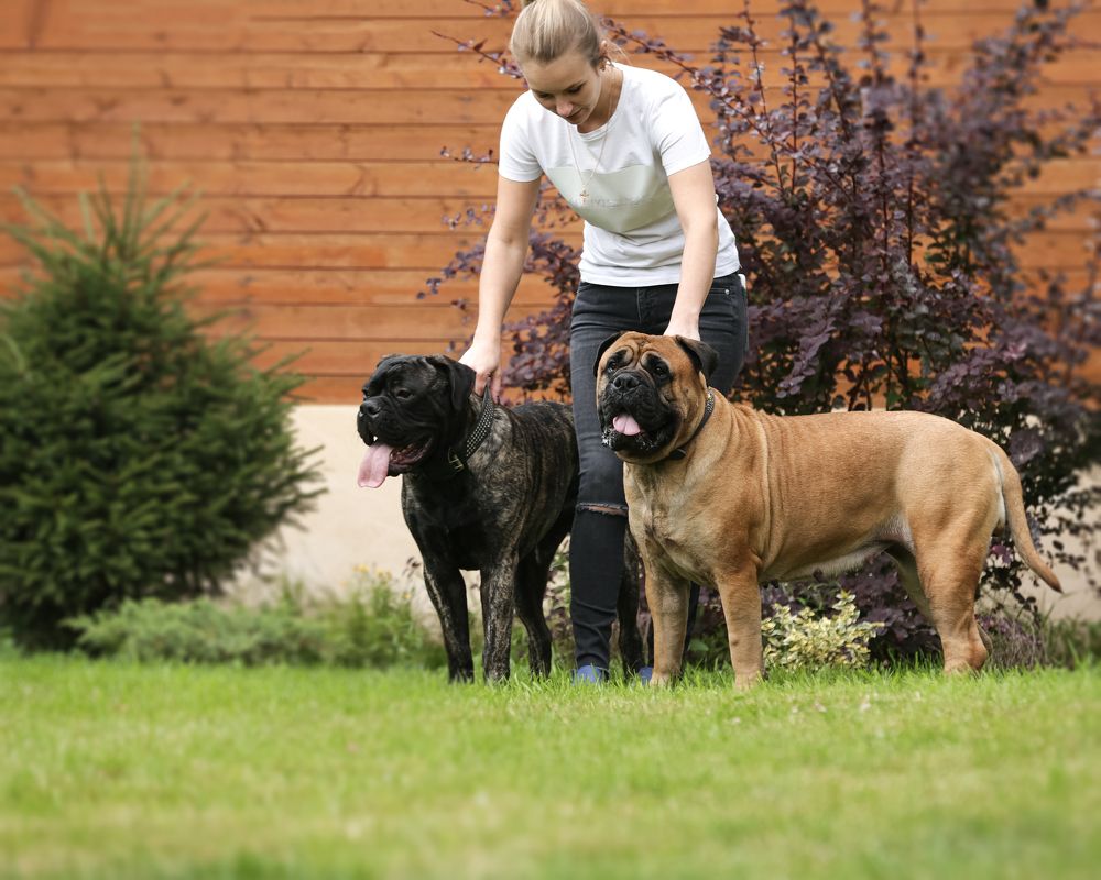 Photograph by Александр Ляхнович