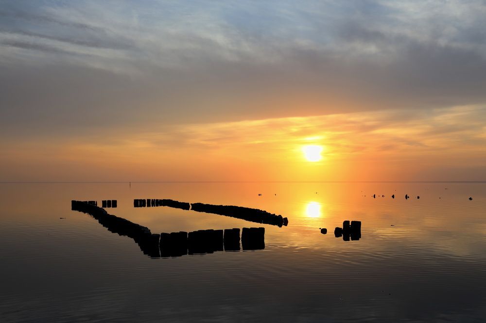 Фотография автора Елена Колосова