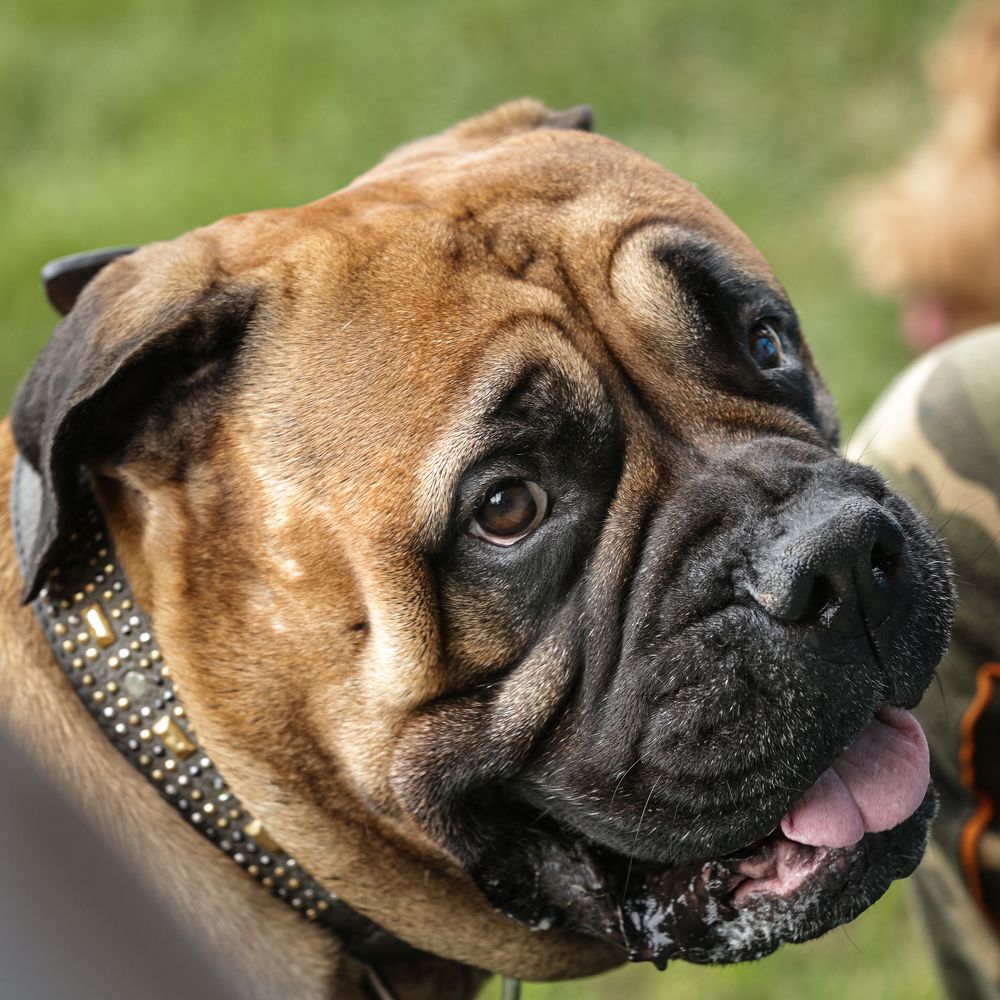 Photograph by Александр Ляхнович