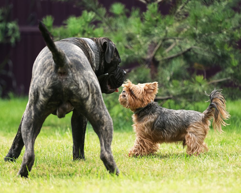 Photograph by Александр Ляхнович