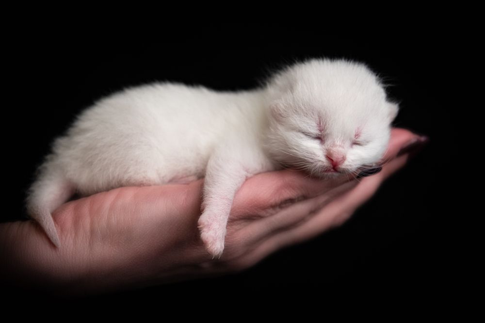 Photograph by Альбина Рычкова