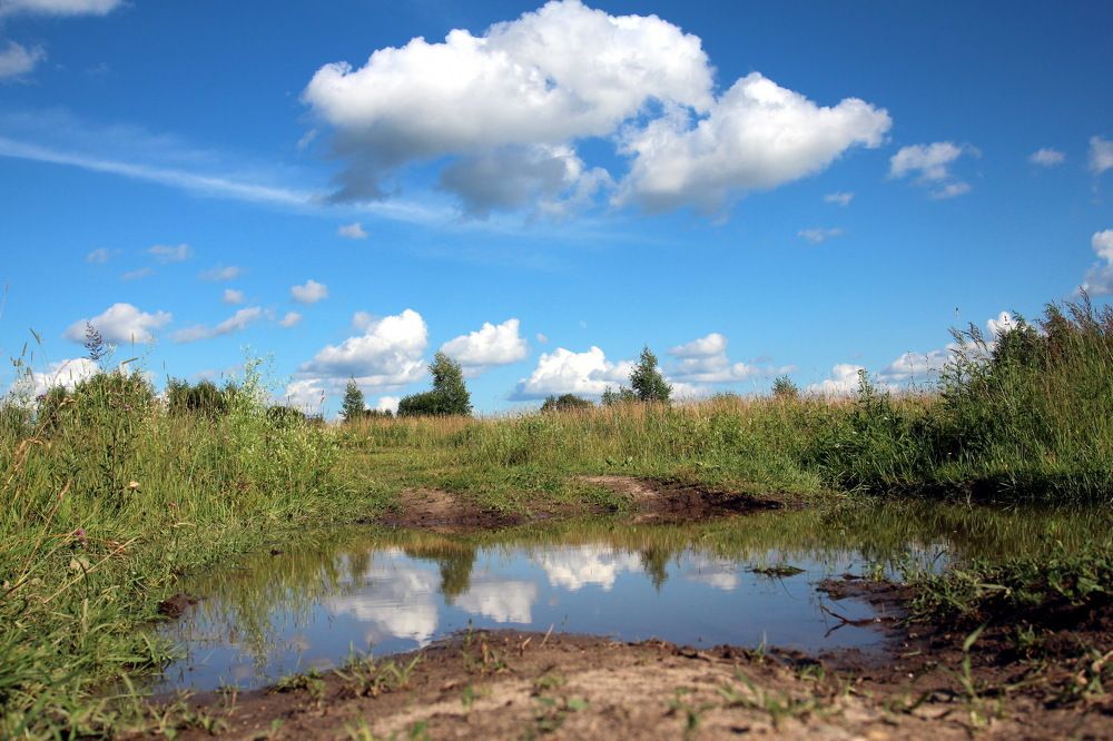 Фотография автора Елена Колосова
