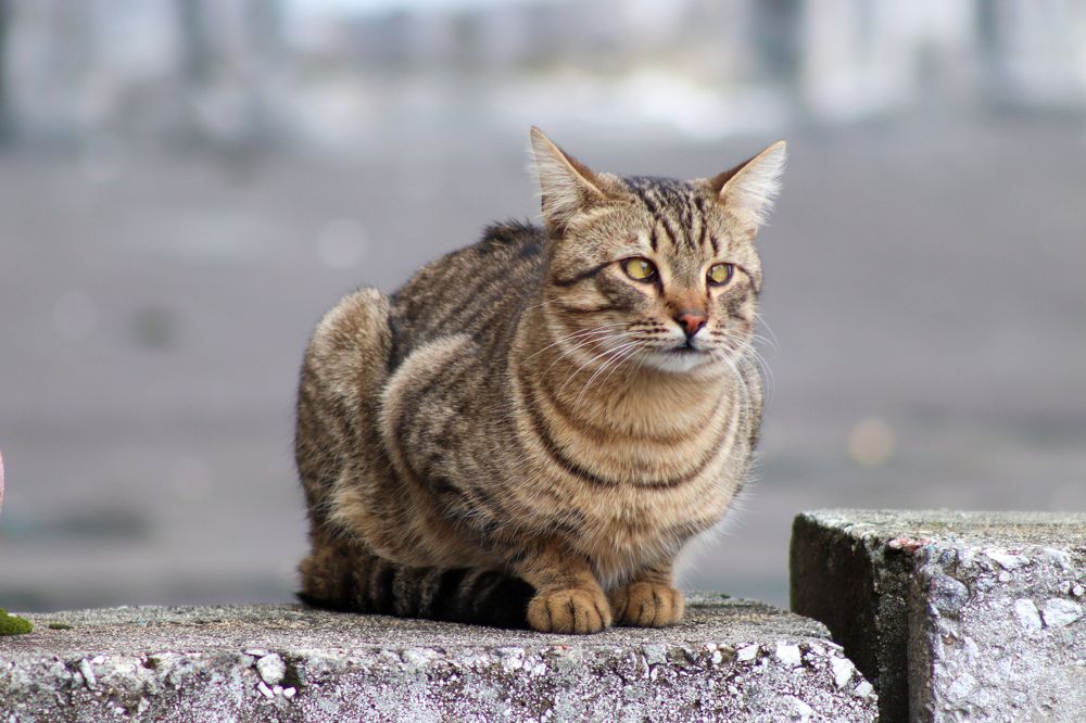 Photograph by Светлана Лебедева