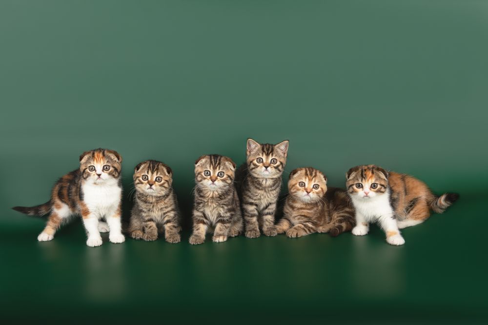 Photograph by Альбина Рычкова