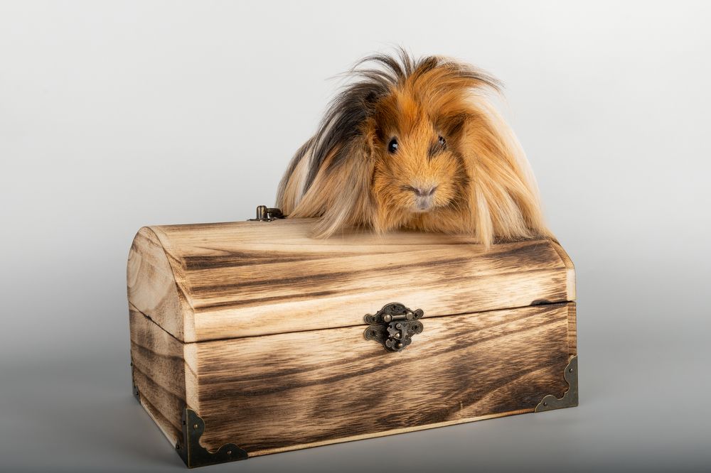 Photograph by Альбина Рычкова