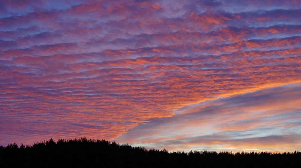 Фотография автора  Галина
